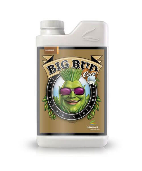 Big-Bud-Coco